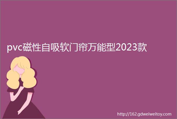 pvc磁性自吸软门帘万能型2023款