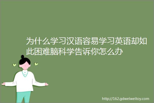 为什么学习汉语容易学习英语却如此困难脑科学告诉你怎么办